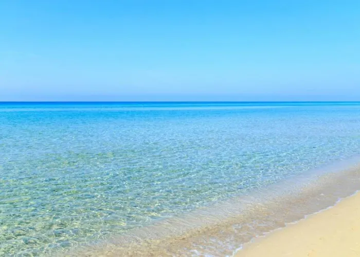 ベッド・アンド・ブレックファスト Le Terrazze Sul Mare Centro *